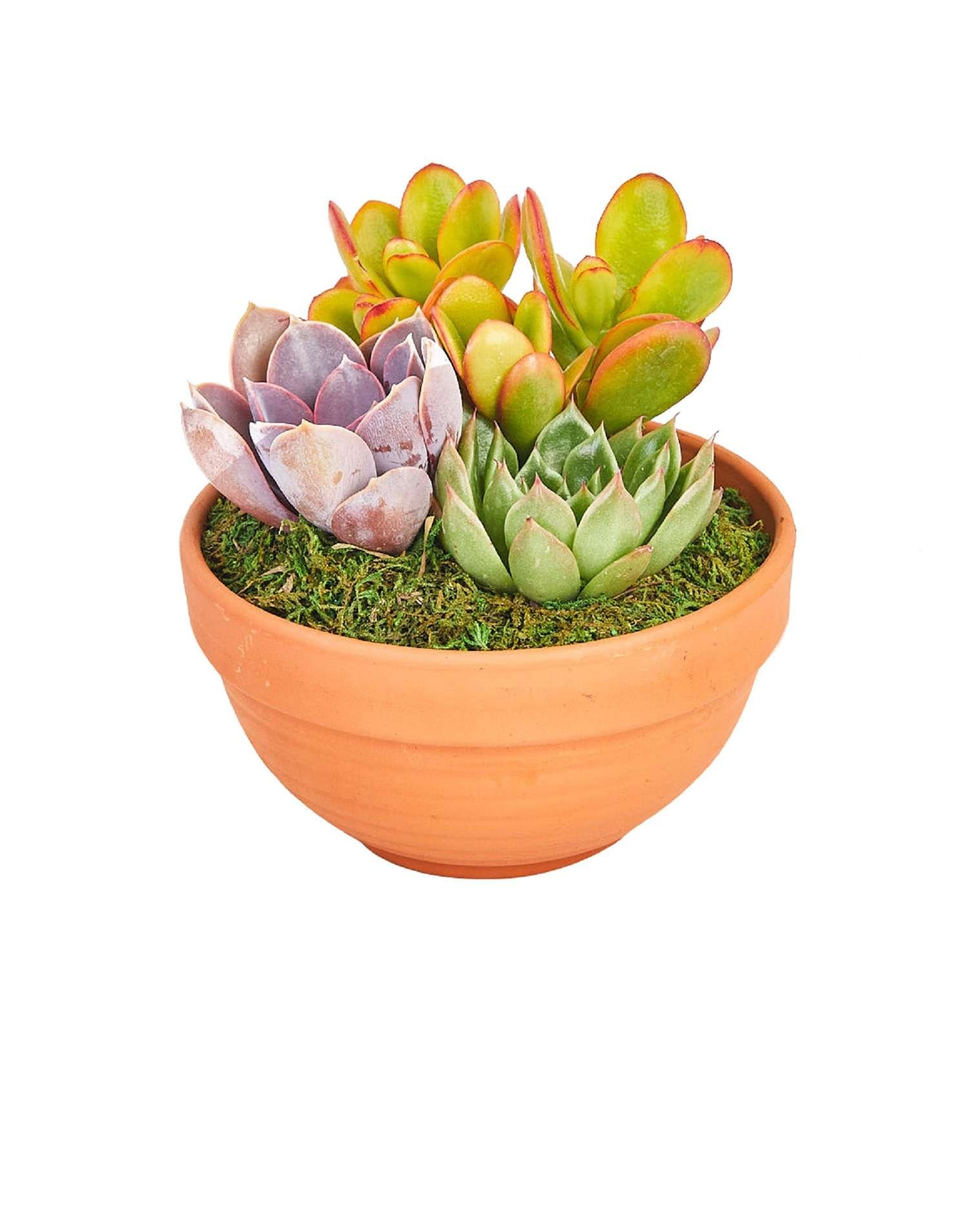 Product-1