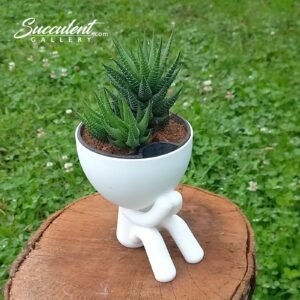 Custom 3D-Printed Self-Watering Succulent Planter with Drainage Compartment – 4-Inch, Eco-Friendly PLA