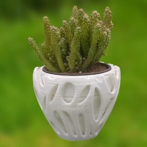 Root Nest Self-Watering Succulent Planter – 3-Inch| Biodegradable PLA Material.