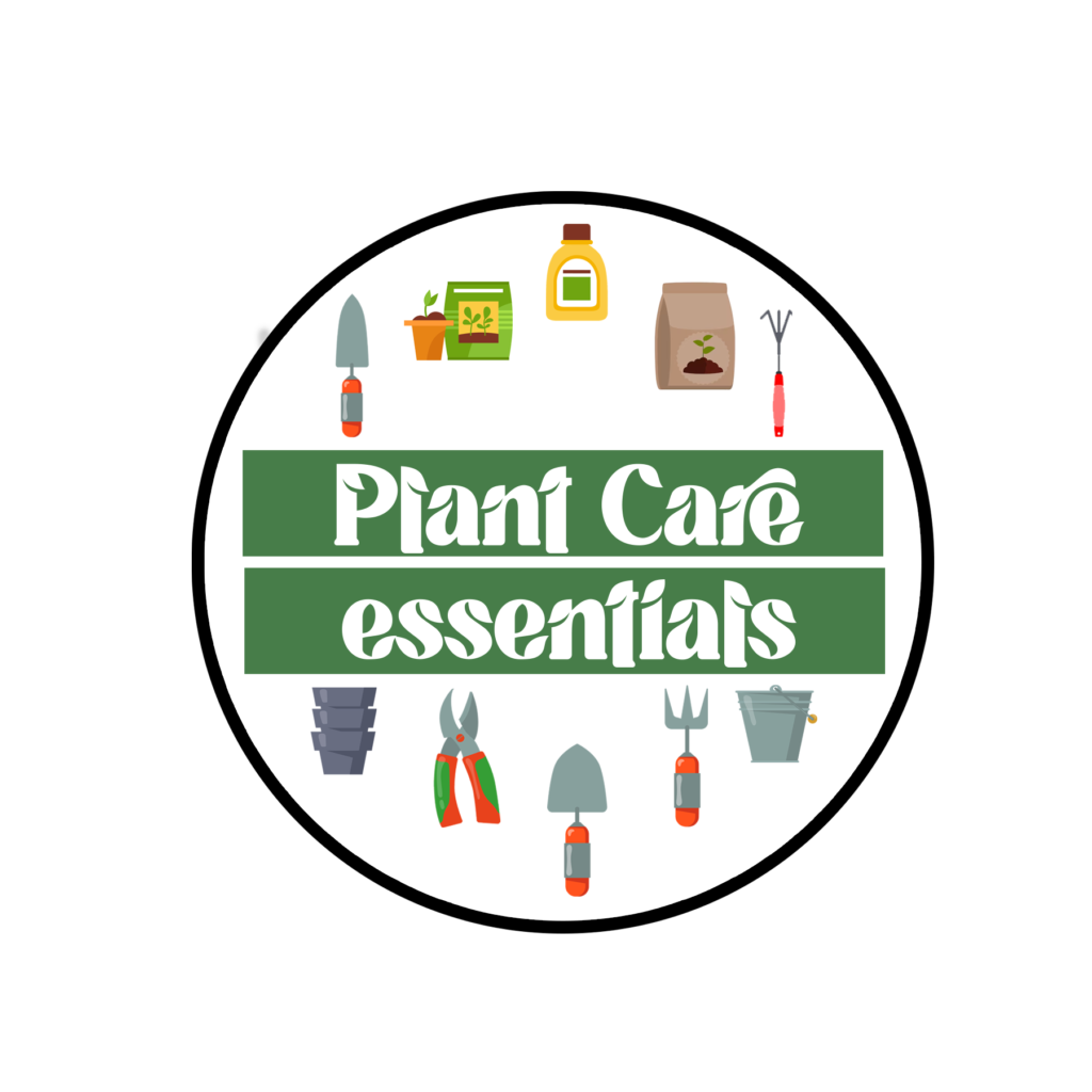 Plant care essentials