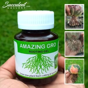 Amazing Gro rooting hormone gel- 60 ml