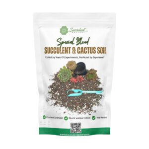 Succulent gallery – Succulent & Cactus Soil 2 Kg – Organic Succulent Potting Soil Mix